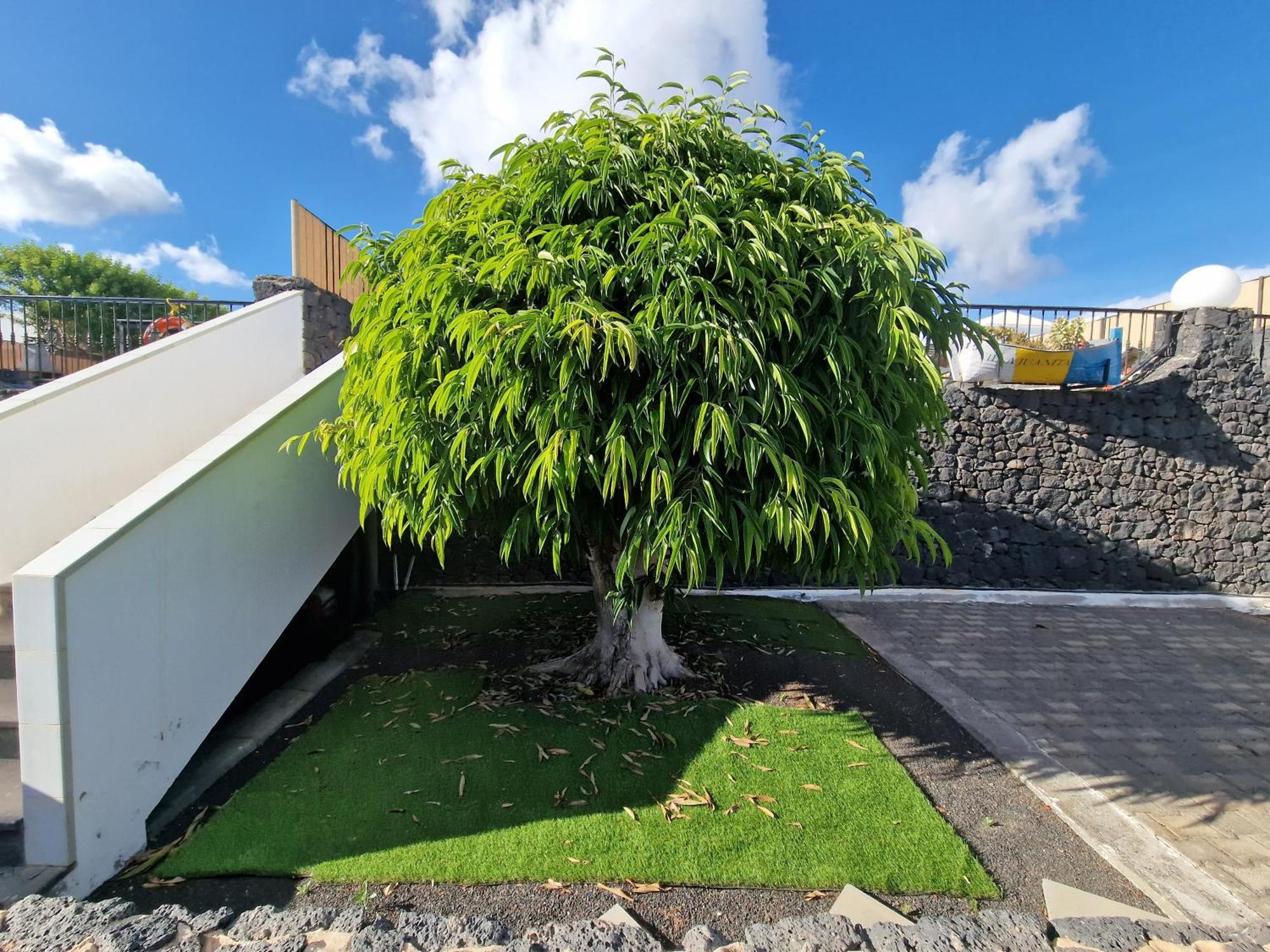 Villa Juanita, Puerto del Carmen, Lanzarote Tías Exterior foto